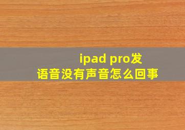 ipad pro发语音没有声音怎么回事